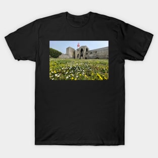 Saint-Mathieu in spring T-Shirt